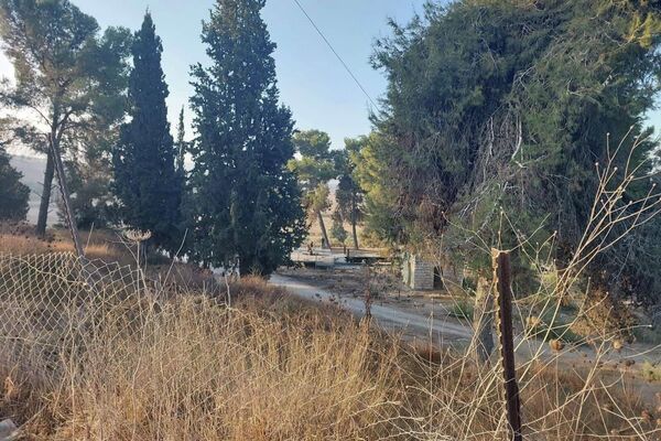 مستوطنون يهود يقتحمون منطقة المسعودية الأثرية والجيش الإسرائيلي يغلق مداخل مدينة نابلس بعد مقتل جندي قرب مستوطنة شافي شمرون
 - سبوتنيك عربي