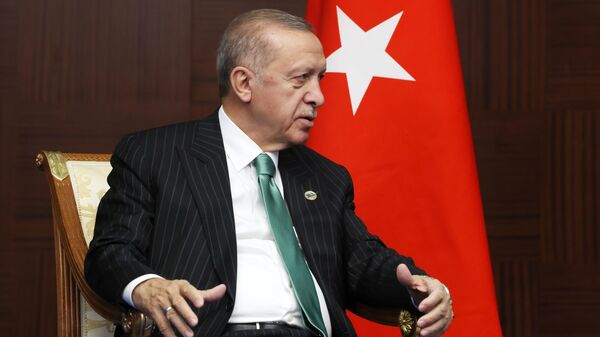 الرئيس فلاديمير بوتين يلتقي مع نظيره التركي رجب طيب أردوغان في أستانا - سبوتنيك عربي