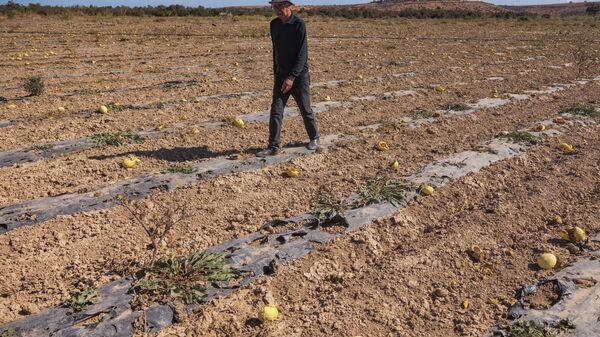 الجفاف في المغرب  - سبوتنيك عربي