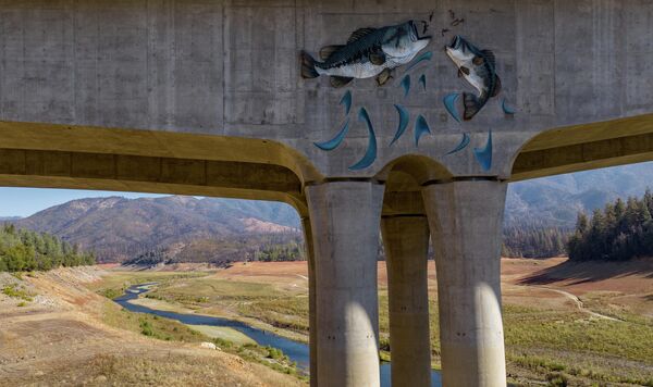 لوحة جدارية تصور سمكة قفز تزين جسرًا يمتد على جزء جاف في الغالب من بحيرة شاستا في ليكهيد، كاليفورنيا، 16 أكتوبر 2022. - سبوتنيك عربي