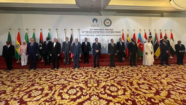 الاجتماع الوزاري الرابع والعشرين لمنتدى الدول المصدرة للغاز بالقاهرة - سبوتنيك عربي