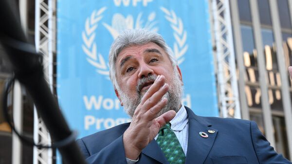 منسق الأمم المتحدة لمبادرة حبوب البحر الأسود أمير محمود عبد الله - سبوتنيك عربي