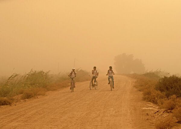 صبيان يركبون دراجاتهم خلال العاصفة الرملية في مدينة البصرة جنوبي العراق، 2 نوفمبر 2022. - سبوتنيك عربي