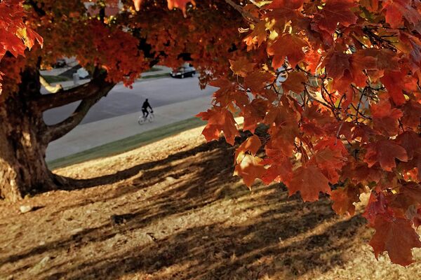 رجل يركب دراجة تحت مظلة من أوراق القيقب تظهر ألوان الخريف بينما يسافر عبر حديقة، في كانساس سيتي، مونتانا، الولايات المتحدة 18 أكتوبر 2022 - سبوتنيك عربي