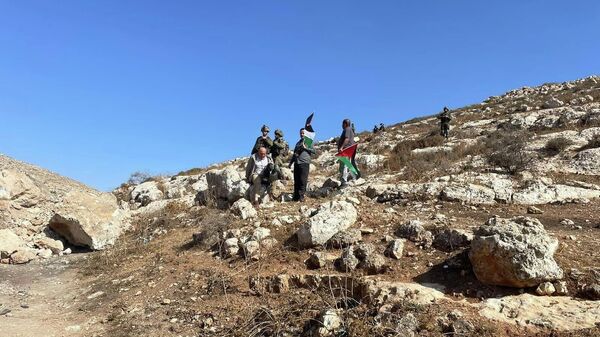 إصابات بقمع الجيش الإسرائيلي مسيرات ضد الاستيطان في الضفة الغربية - سبوتنيك عربي