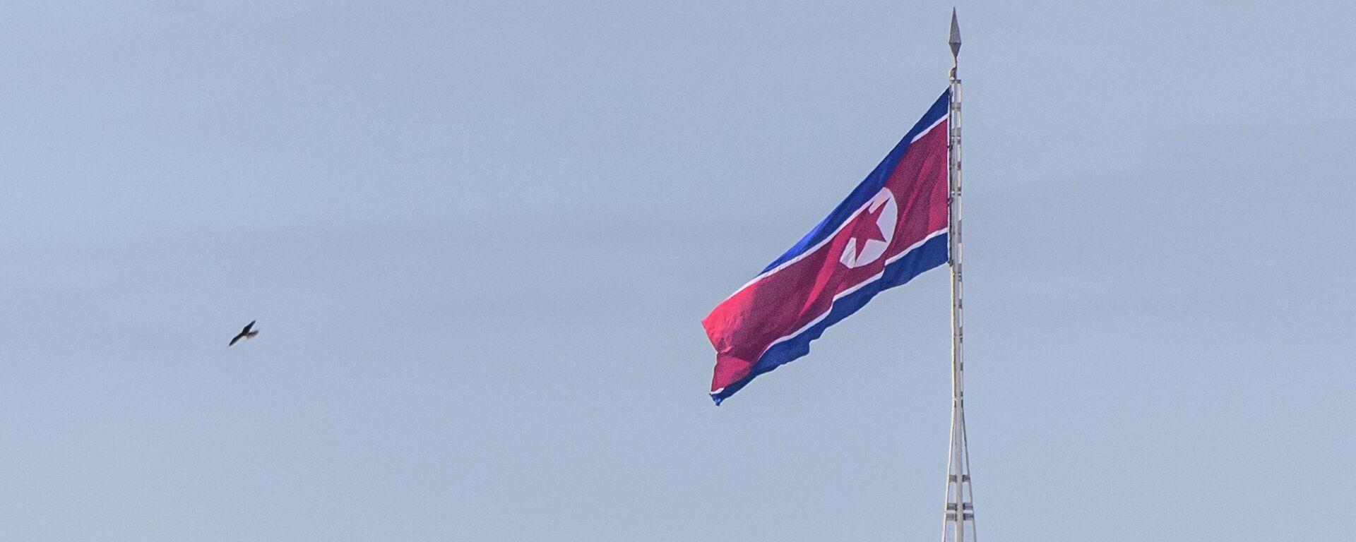 علم كوريا الشمالية - سبوتنيك عربي, 1920, 27.01.2023
