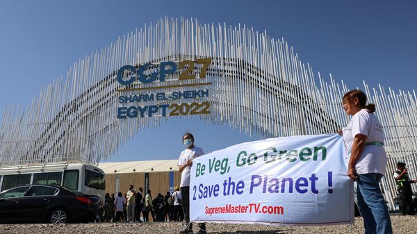 نشطاء نباتيون يحملون لافتات وهم يتظاهرون عند مدخل مركز شرم الشيخ الدولي للمؤتمرات، مؤتمر الأمم المتحدة لتغير المناخ 2022، المعروف أكثر باسم COP27، في منتجع شرم الشيخ المطل على البحر الأحمر، في مصر  6 نوفمبر 2022 - سبوتنيك عربي