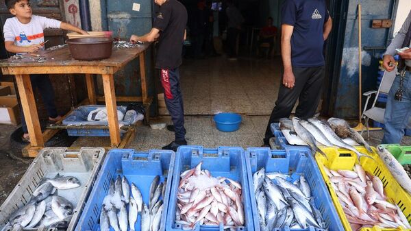 سوق سمك في مدينة غزة، 23 أكتوبر/ تشرين الأول 2021 - سبوتنيك عربي