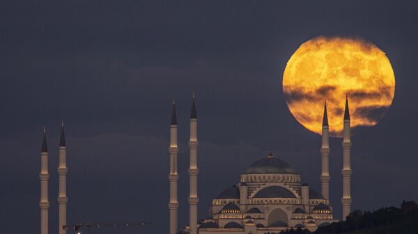 بدر عملاق يرتفع خلف جامع تشامليجا في إسطنبول، تركيا، 8 نوفمبر/تشرين الثاني 2022 - سبوتنيك عربي