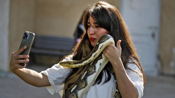 امرأة عراقية تلتقط صورة لنفسها وهي تحمل ثعبانًا في حديقة حيوانات بغداد في منطقة حدائق الزوراء في العاصمة، خلال حدث يهدف إلى تعريف الناس بالثعابين والحيوانات الزاحفة الأخرى.11 نوفمبر 2022 - سبوتنيك عربي