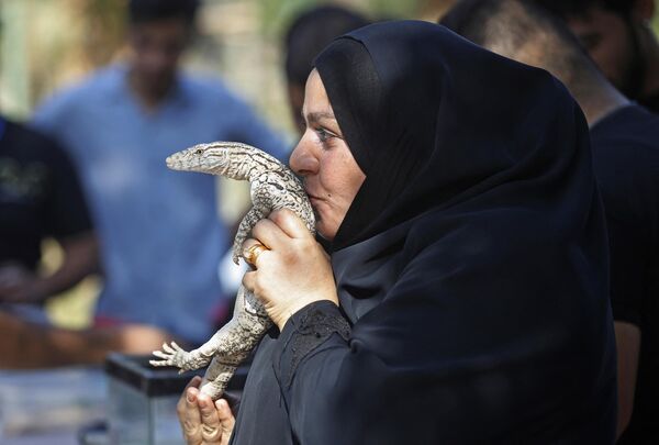 امرأة عراقية تقبل سحلية في حديقة حيوانات بغداد في منطقة حدائق الزوراء بالعاصمة، 11 نوفمبر 2022 - سبوتنيك عربي
