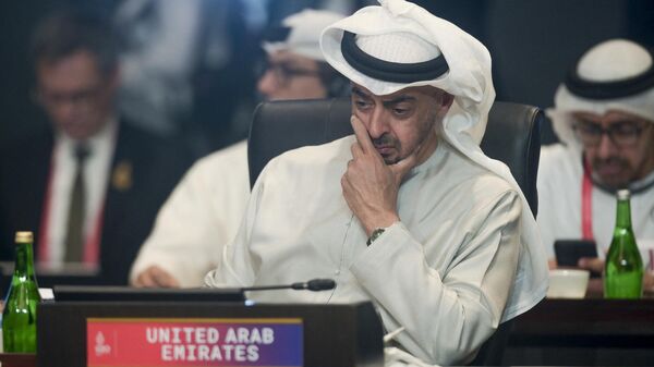 رئيس دولة الإمارات العربية المتحدة الشيخ محمد بن زايد آل نهيان، قمة مجموعة العشرين في بالي، إندونيسيا 15 نوفمبر 2022 - سبوتنيك عربي