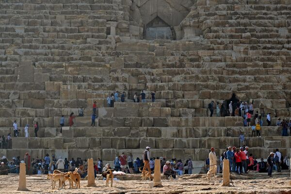 تتجمع الكلاب بينما يصعد الناس ويقفون في طابور لدخول الهرم الأكبر للملك المصري القديم خوفو (الذي بني حوالي 2570 قبل الميلاد) في مقبرة الجيزة في ضواحي القاهرة، مصر 12 نوفمبر 2022. - سبوتنيك عربي