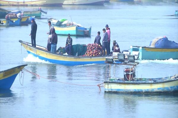 مهنة الصيد في قطاع غزة تلفظ أنفاسها بعد حظر إسرائيل التصدير إلى الضفة - سبوتنيك عربي
