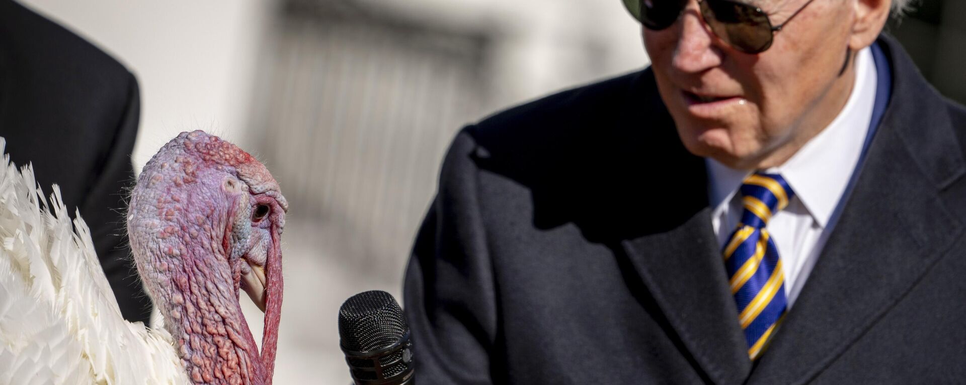 الرئيس جو بايدن يحمل ميكروفون بالقرب من الديك الرومي بمناسبة عيد الشكر الوطني، خلال حفل عفو في البيت الأبيض في واشنطن، 21 نوفمبر 2022. - سبوتنيك عربي, 1920, 30.11.2022
