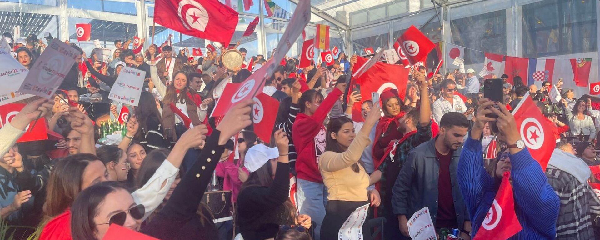 التونسيون يشجعون منتخبهم الوطني ضد نظيره الفرنسي في كأس العالم 2022 من أحد المقاهي في العاصمة تونس - سبوتنيك عربي, 1920, 30.11.2022