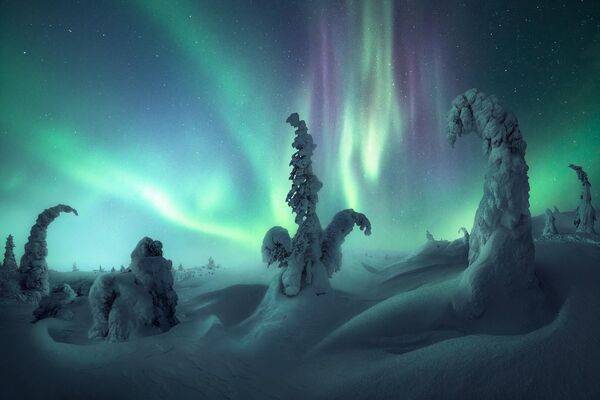 صورة تحت أضواء الشمال في شمال روسيا، للمصور نيكو رينالدي، ضمن قائمة أفضل 25 مصورًا للشفق القطبي في عام عام 2022 - سبوتنيك عربي