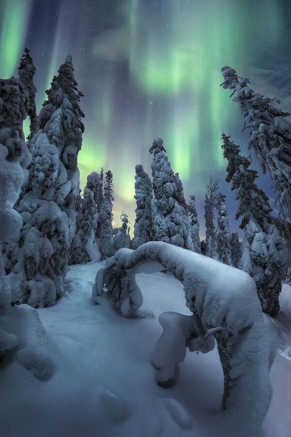 صورة بعنوان أرواح الشتاء في منطقة لابلاند في فنلندا، للمصور يوناي لارايا، ضمن قائمة أفضل 25 مصورًا للشفق القطبي في عام عام 2022 - سبوتنيك عربي