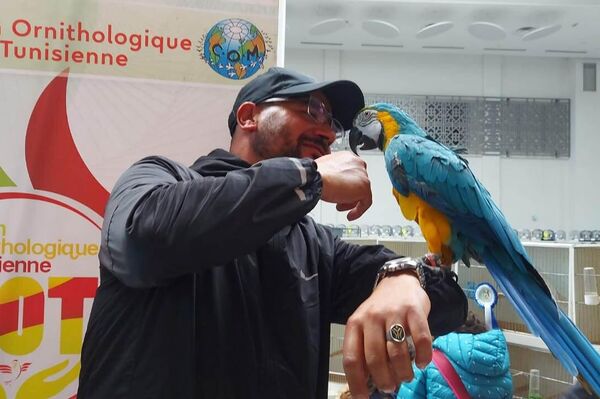  بطولة تونس لعلم الطيور التي تقام للمرة السابعة في تاريخ البلاد - سبوتنيك عربي