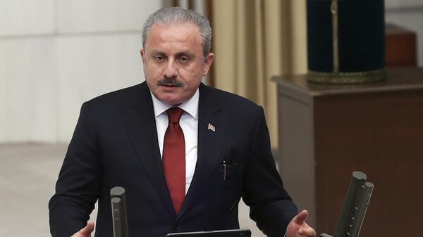 رئيس البرلمان التركي، مصطفى شنطوب - سبوتنيك عربي
