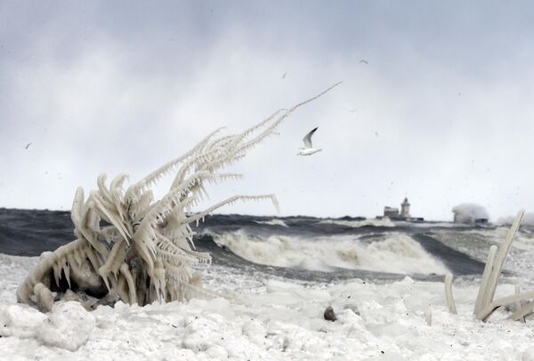 ارتطام الأمواج قبالة بحيرة إيري على الشاطئ المغطى بالجليد غرب وسط مدينة كليفلاند، 7 يناير 2015. - سبوتنيك عربي