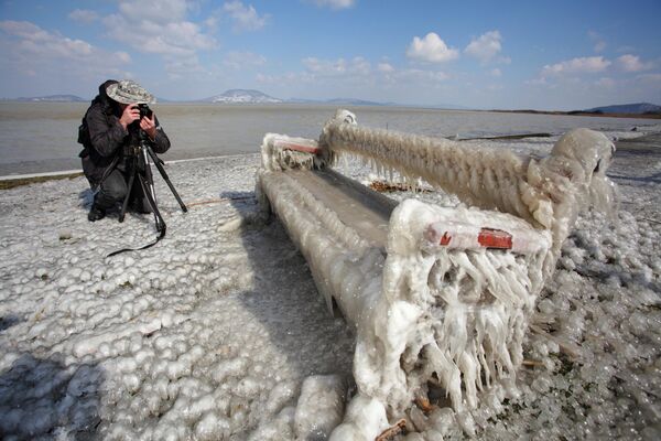 مقعد مغطى بالجليد من قبل رجل على شاطئ بحيرة بالاتون في بالاتونفينيفيس، على بعد 155 كيلومترًا جنوب غرب بودابست، المجر، 16 مارس 2013 - سبوتنيك عربي