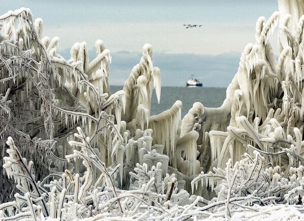 كاسحة الجليد لخفر السواحل الأمريكية نيا باي (Neah Bay) على خلفية أشجار مغطاة بالجليد على طول شاطئ بحيرة إيري، 20 ديسمبر 2004. - سبوتنيك عربي