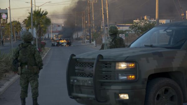قوات الأمن/ الشرطة/ الجيش في المكسيك - سبوتنيك عربي