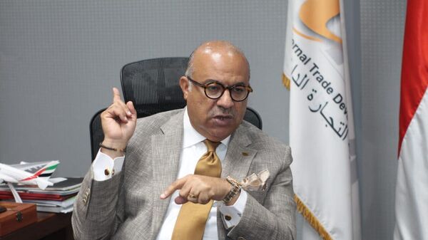 الدكتور إبراهيم عشماوى مساعد أول وزير التموين والتجارة الداخلية المصري - سبوتنيك عربي