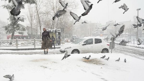 Девушка и голуби во время снегопада в Тегеране  - سبوتنيك عربي