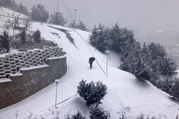رجل إيراني يسير في حديقة أثناء تساقط الثلوج في العاصمة طهران في 15 يناير 2023. - سبوتنيك عربي