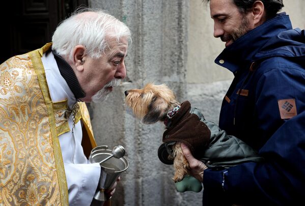 كاهن يبارك كلبًا خلال عيد القديس أنطونيوس (القديس أنتوني، شفيع الحيوانات) في كنيسة سان أنطون في مدريد في إسبانيا، 17 يناير 2023. - سبوتنيك عربي