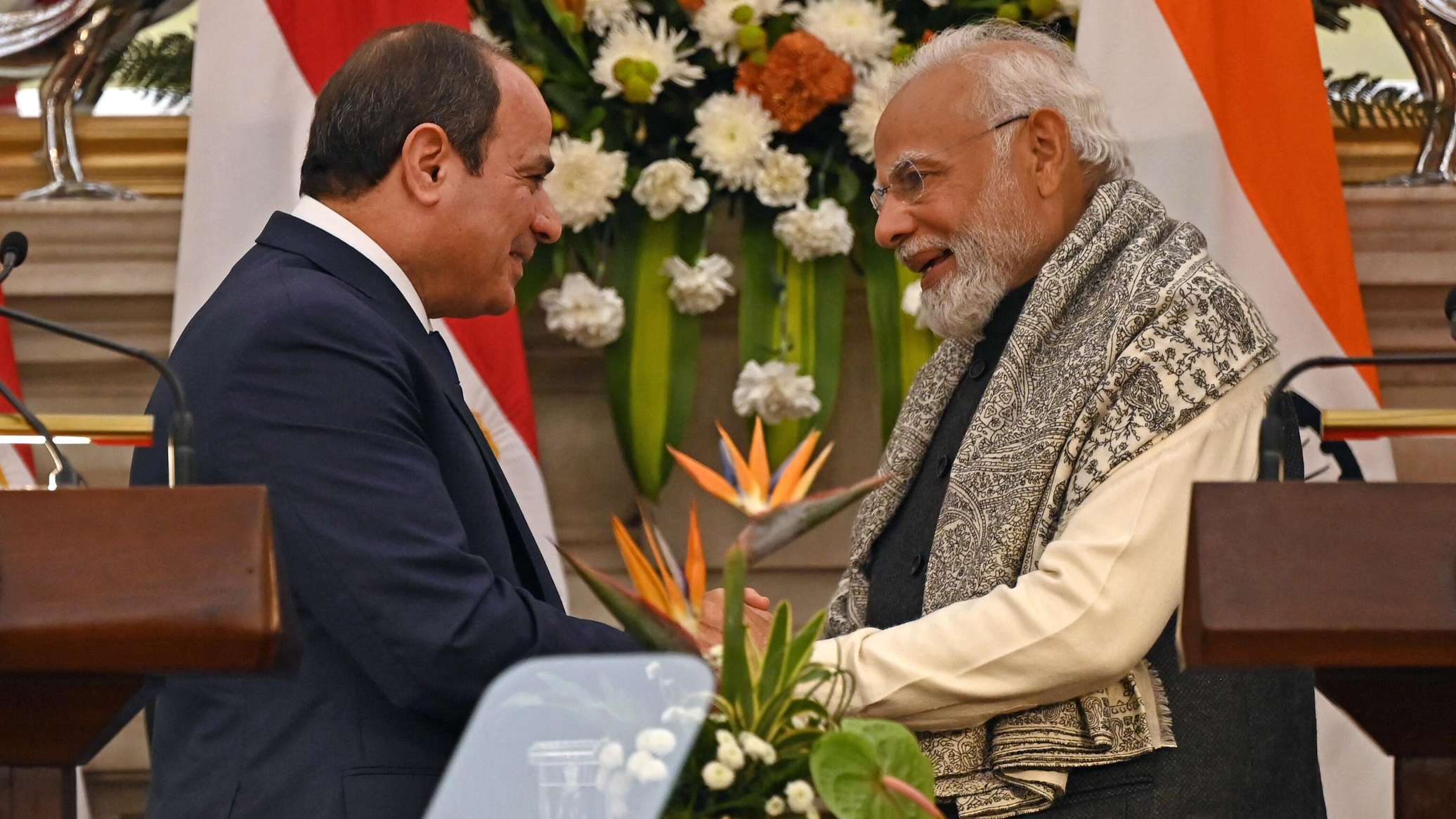 شراكة مصر والهند: القاهرة تريد القمح ونيودلهي عينها على إفريقيا