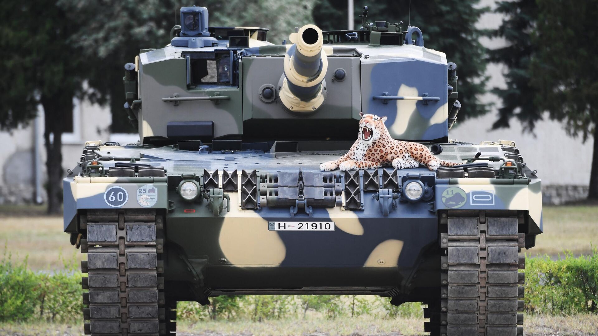 دمية لفهد وضع على دبابة ليوبارد 2 خلال حفل تسليم الدبابات في قاعدة الجيش المجري بتاريخ في 24 يوليو 2020 - سبوتنيك عربي, 1920, 25.01.2023