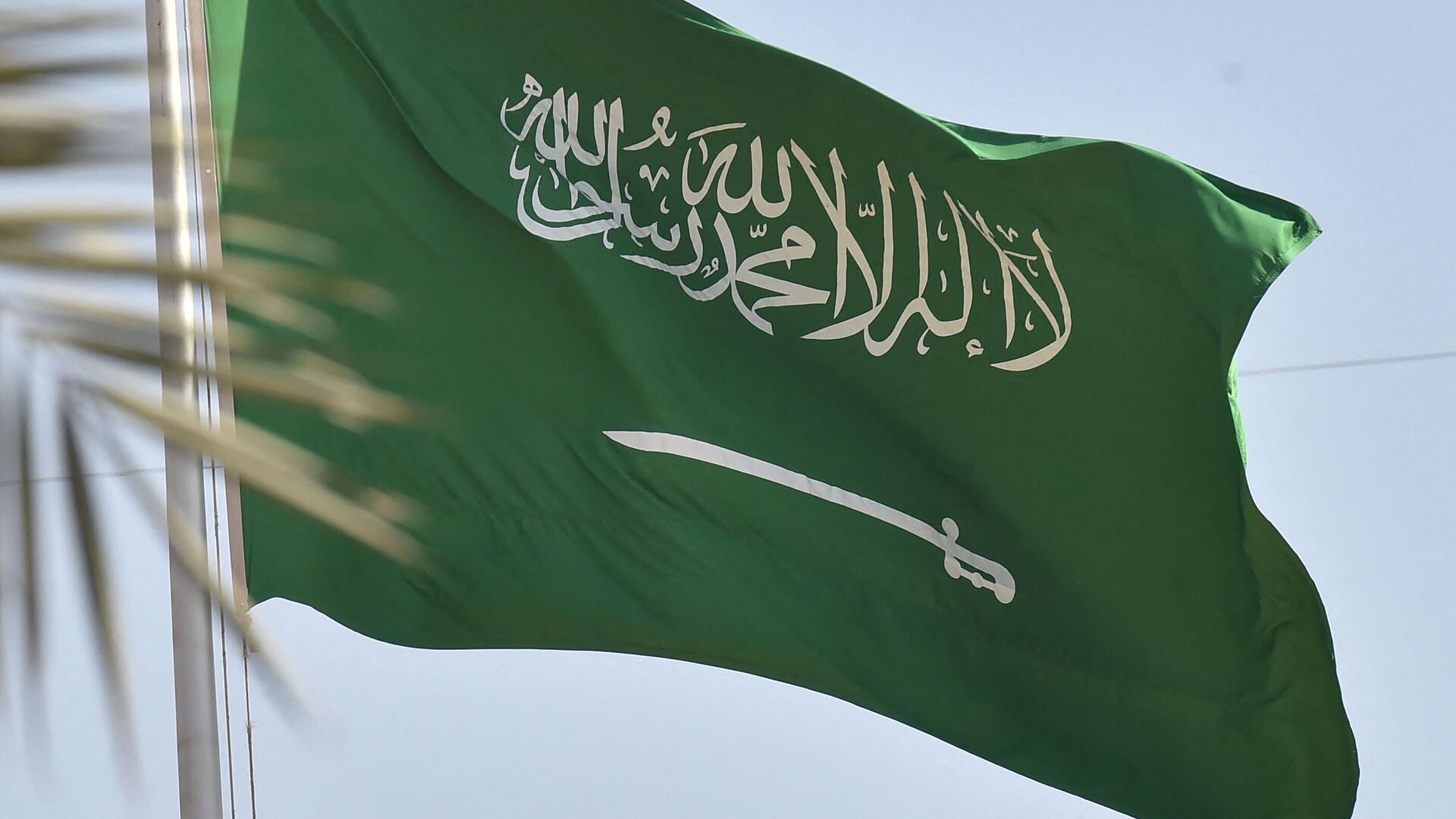 علم السعودية - سبوتنيك عربي, 1920, 19.09.2023