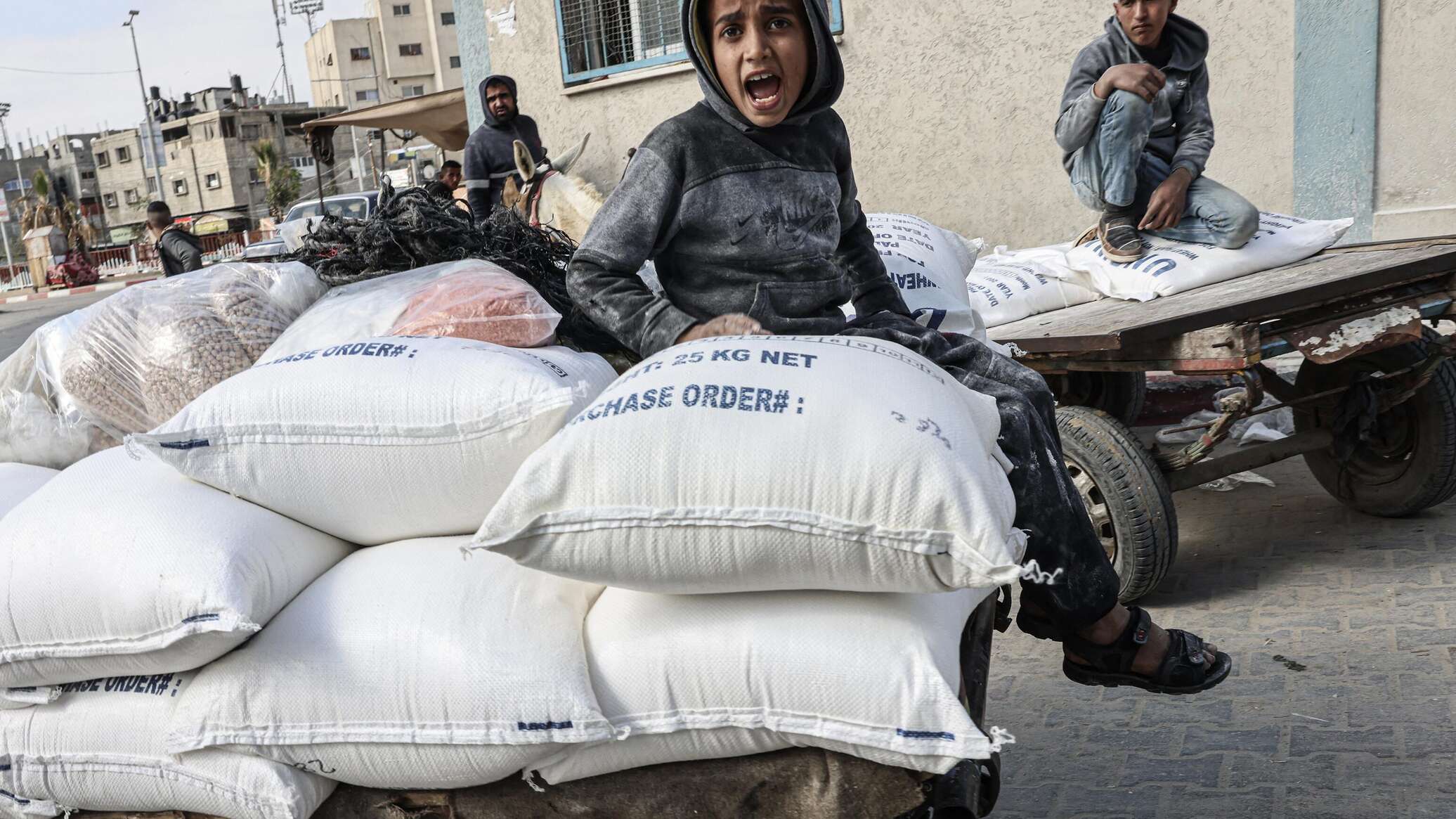مدير الإعلام والتواصل في "أونروا": لم تدخل أي شاحنة مساعدات حتى الآن إلى قطاع غزة
