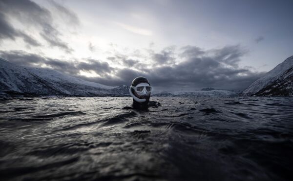  بطل العالم خمس مرات، الفرنسي آرثر غيرين بويري، قبل الغوص في الأعماق لاكتشاف حوت الأوكرا (الحيتان القاتلة) ، في جزيرة سبيلدرا، شمال الدائرة القطبية الشمالية، في 25 يناير 2023. - سبوتنيك عربي