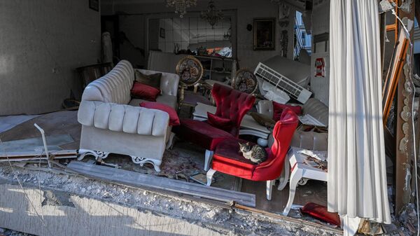 Кошка сидит на кресле в поврежденной гостиной рухнувшего здания в Хатае, Турция - سبوتنيك عربي