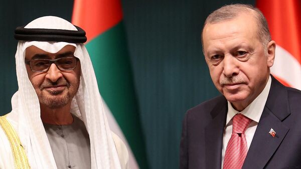 الرئيس التركي، رجب طيب أردوغان، ونظيره الإماراتي، الشيخ محمد بن زايد آل نهيان - سبوتنيك عربي