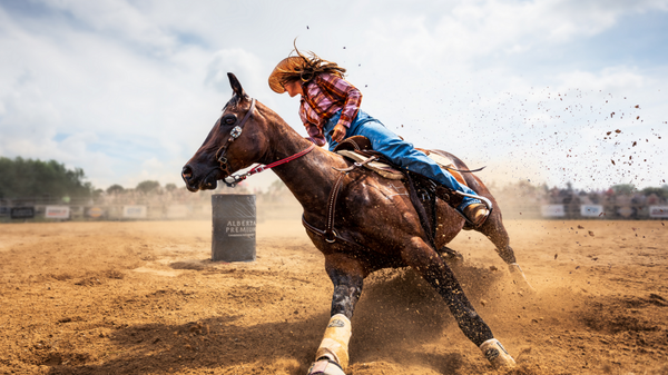 Снимок Slam on the Brakes китайского фотографа Zhenhuan Zhou, победивший в категории Open Motion фотоконкурса 2023 Sony World Photography Awards - سبوتنيك عربي