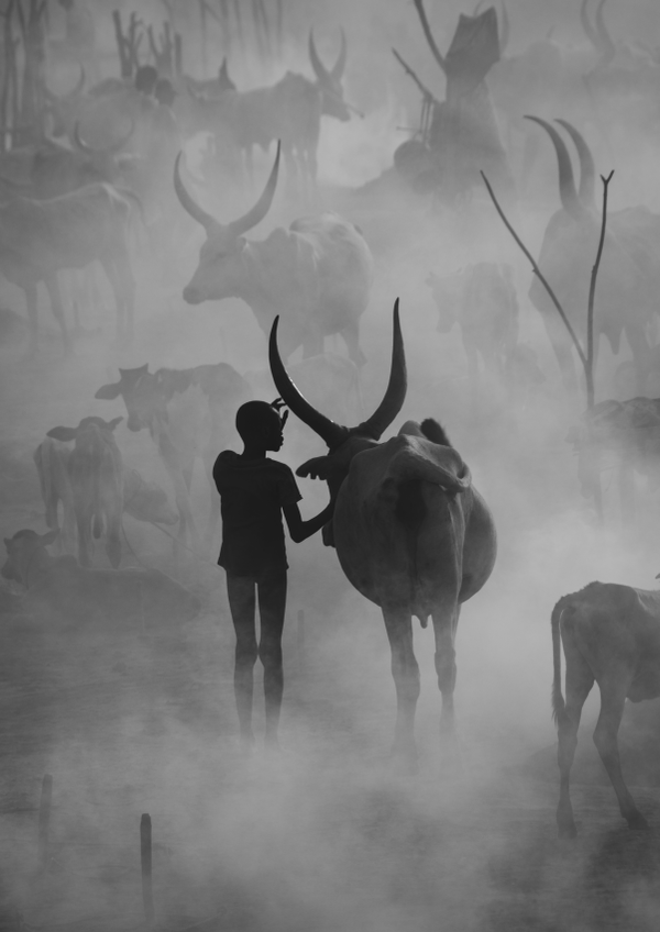 صورة بعنوان &quot;الأسباح&quot;، للمصور ماكس فيريي-هودج، الفائز في فئة &quot;السفر&quot; في المسابقة المفتوحة في جوائز مسابقة سوني العالمية للتصوير لعام 2023&quot;.يقول المصور: تبدو قبيلة منداري في جنوب السودان مثل الظهورات بين الحرائق الليلية التي يشعلونها لإبعاد ذباب التسي تسي والبعوض عن أبقارهم المحبوبة &quot;أنكولي واتوسي&quot;. في كل ليلة، مع عودة الماشية من الرعي، يميل الرعاة إليها عن طريق تدليك الرماد في جلدهم لمنع لدغات الذباب. - سبوتنيك عربي