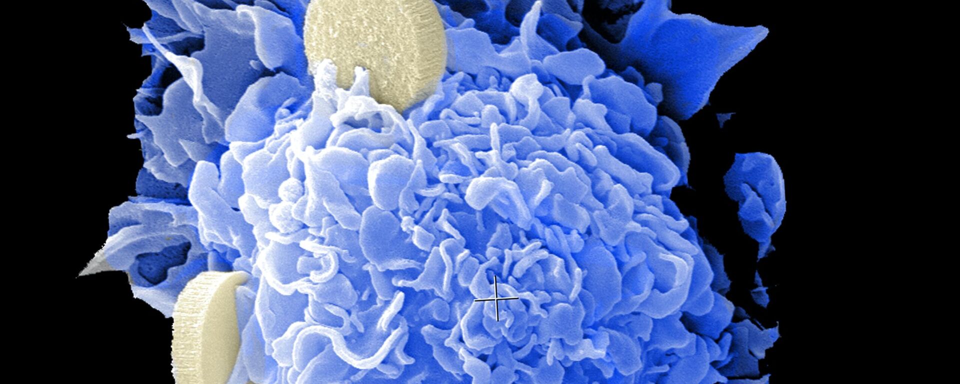 باحثون في مركز تكساس للطب النانوي للسرطان (TCCN) يعملون على تطوير لقاحات النانو لعلاج السرطان.   - سبوتنيك عربي, 1920, 28.03.2023