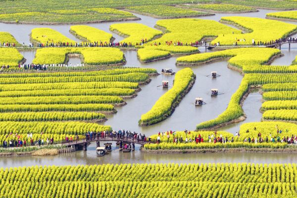 تُظهر هذه الصورة أشخاصًا يشاهدون أزهار بذور اللفت المزهرة في منطقة شينغهوا كياندو الخلابة في تايتشو في مقاطعة جيانغسو شرقي الصين، 19 مارس 2023 - سبوتنيك عربي