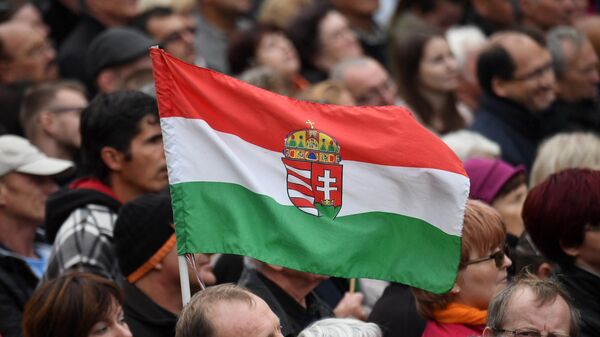 أشخاص يرفعون الأعلام الهنغارية - سبوتنيك عربي