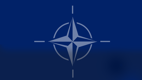 نقاط ضعف الناتو في الأزمة الأوكرانية - سبوتنيك عربي