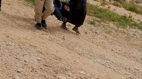 مقتل 11 شخصا بانفجار لغم أثناء بحثهم عن فطر الكمأة في البادية السورية - سبوتنيك عربي