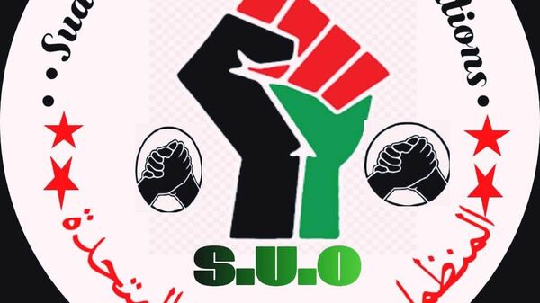 منظمات المجتمع المدني السوداني - سبوتنيك عربي