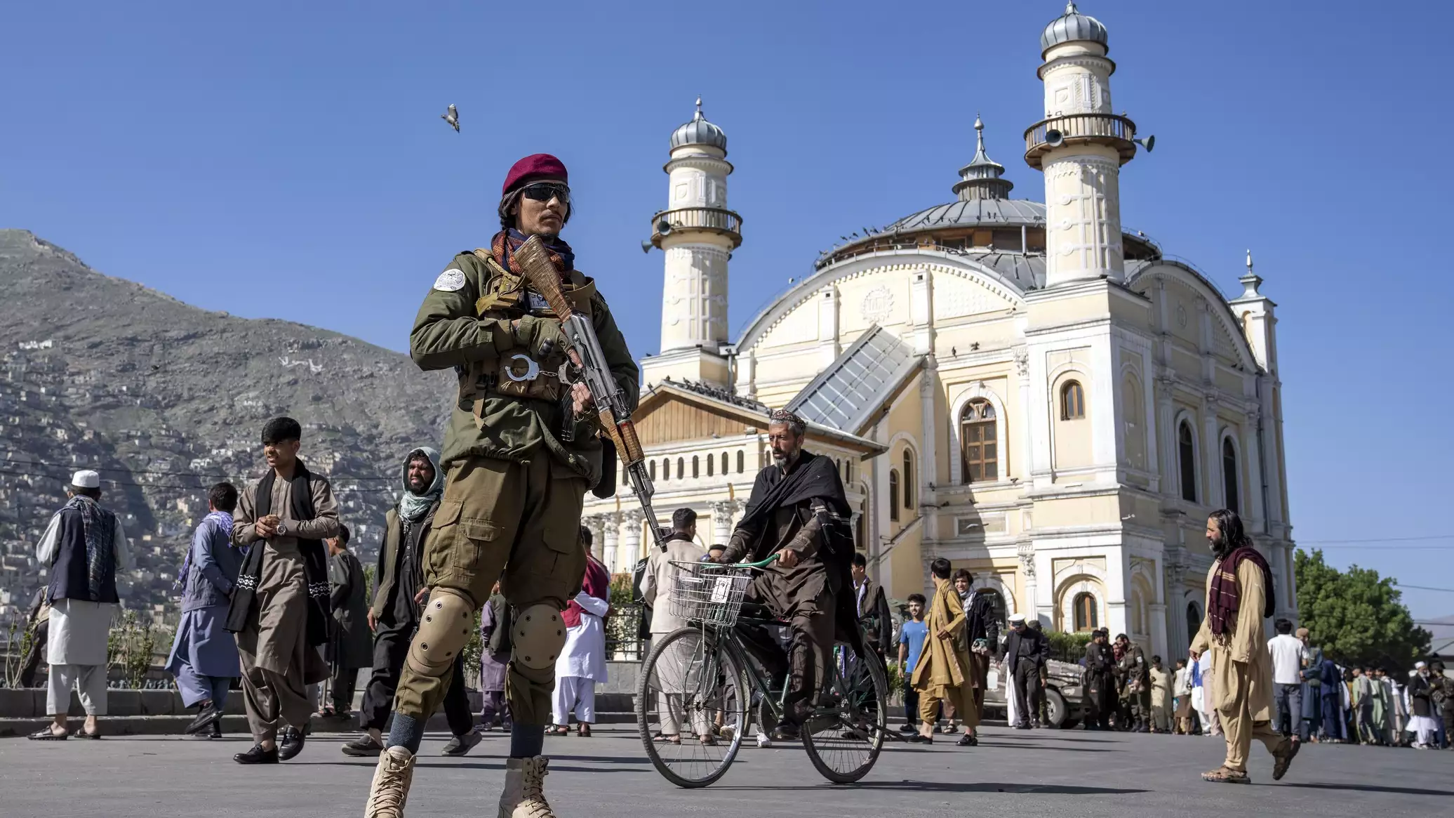 إعلام: مسؤولون ألمان يتفاوضون مع حركة طالبان من أجل ترحيل واسع النطاق للأفغان إلى وطنهم