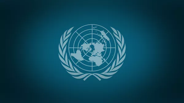 مجلس الأمن التابع للأمم المتحدة - سبوتنيك عربي