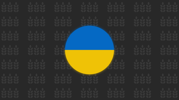 زيادة تصدير الحبوب الأوكرانية إلى الدول المجاورة - سبوتنيك عربي